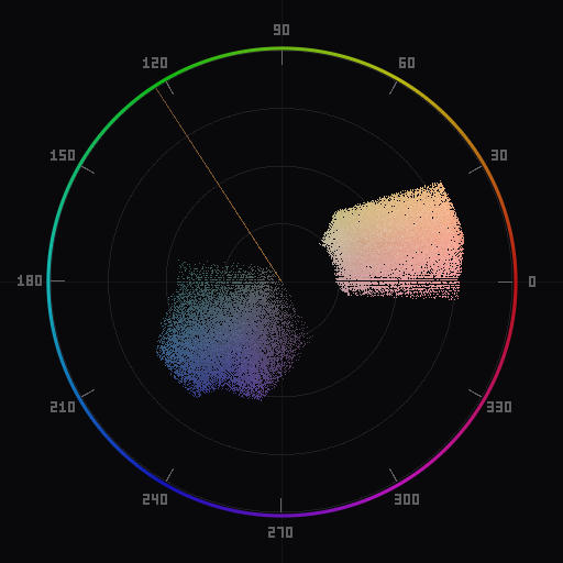 Vectorscope display of an ungraded portrait showing the initial chrominance distribution before color grading