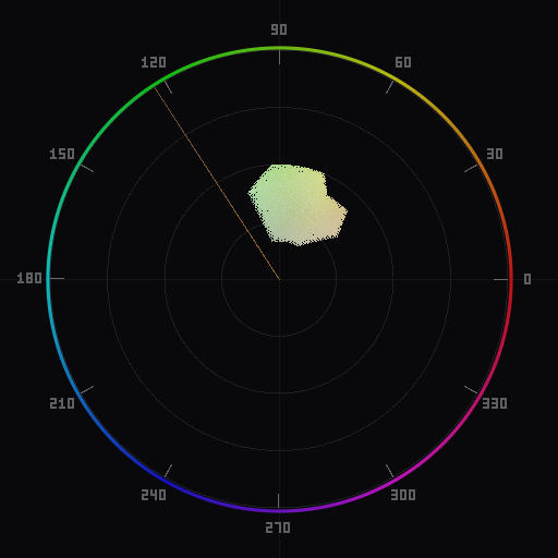 Vectorscope showing skin tone pixels shifted away from the reference line toward green, indicating a color cast