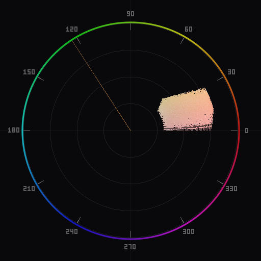 Vectorscope showing skin tone cluster near reference line